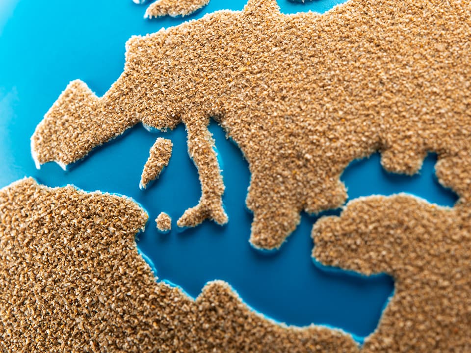 globe